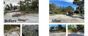 Read more about the article Park Clean Up